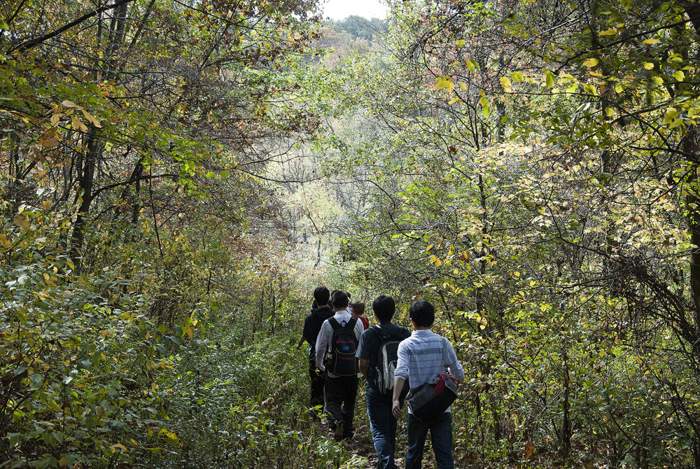 _DSC1053jflickr_1000