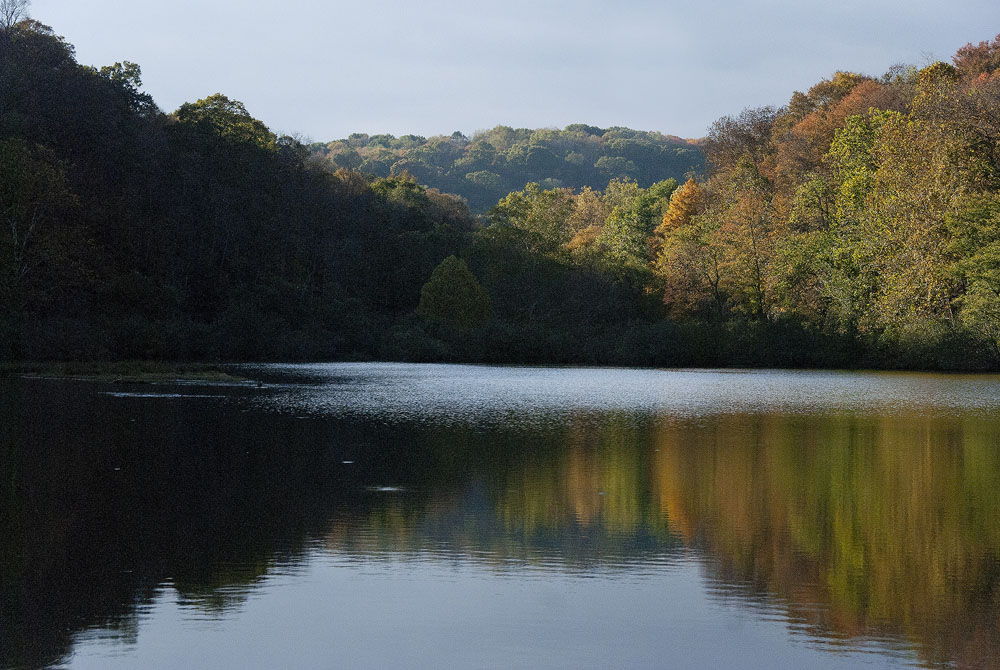 _DSC1192jflickr_1000